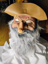 Halloween mask in Plainfield, Illinois