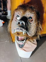 Halloween Mask in Plainfield, Illinois