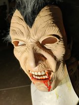 Halloween mask in Plainfield, Illinois