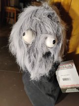 Halloween mask in Plainfield, Illinois