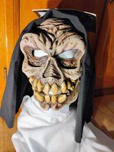 Halloween mask in Plainfield, Illinois