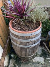 Whiskey Barrel Flower Pot in Okinawa, Japan