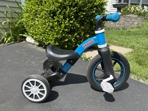 Kids Balance Kriddo Trike in Sugar Grove, Illinois