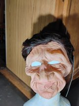 Halloween mask in Plainfield, Illinois