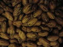 Pecans for sale in Alamogordo, New Mexico