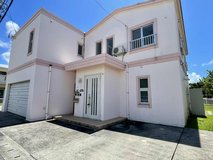 Coming Soon!! (DANDRO) in Okinawa, Japan
