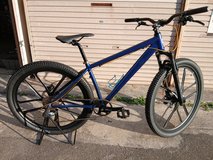 Custom mountain bike in Okinawa, Japan