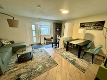 near Patch,1 BR basement apartment in Stuttgart-Vaihingen in Stuttgart, GE