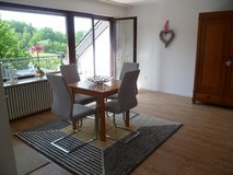 Beautiful furn. 2 bedr. apt with patio in 67737 Olsbrücken in Ramstein, Germany