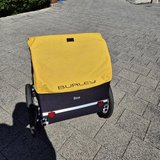 BURLEY BEE in Ramstein, Germany
