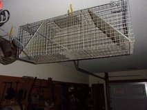 Live Critter Trap in Warner Robins, Georgia