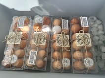 Juneau’s Butt Nuggets in Warner Robins, Georgia