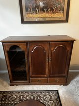 TV Entertainment Center in Kingwood, Texas