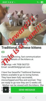 People beware, this is a scam!!! in Ramstein, Germany