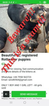 This is a scam!!! in Ramstein, Germany