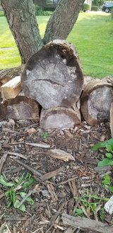 Fatwood/firewood/kindling in Yorkville, Illinois