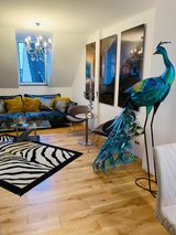 TDY/TLA 3 Bedroom / 2 bathrooms in Wiesbaden, GE