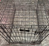 Large pet crate in Warner Robins, Georgia