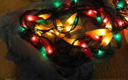 Lights, Chili Peppers, 35 lights per strand, both strands for in Camp Pendleton, California