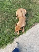 free female in Fort Polk, Louisiana