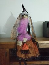 HALLOWEEN WITCH in Plainfield, Illinois