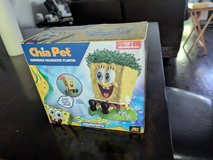 SpongeBob SquarePants Chia decorative planter in Plainfield, Illinois