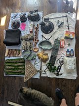 Bearded dragon supplies.  Everything you need for a terrarium in Plainfield, Illinois