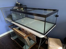 80 gallon fish tank/terrarium in Shorewood, Illinois