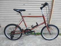 Fun mini bike in Okinawa, Japan