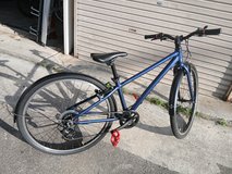 Ratepayers kids bike in Okinawa, Japan