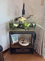 Aquarium in Okinawa, Japan