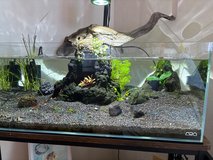 ADA Aquarium in Okinawa, Japan