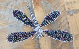 Dragonfly in Fort Campbell, Kentucky