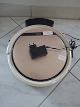 Vacuum Robot in Baumholder, GE