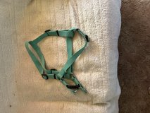 Dog Harness in 29 Palms, California