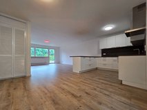 [ID: 1528] Landstuhl 5 min. to LRMC - 2024 renovated, 3 bedr., 2 bathr., parking spot, balcony in Ramstein, Germany