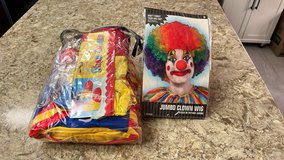 Clown Costume in Vista, California