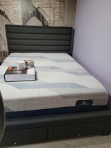 queen bed frame with 2 drawer storage in Chicago, Illinois