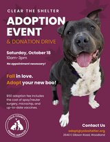 Clear The Shelter Event - Woodland in Travis AFB, California