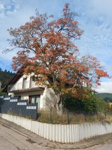 House for sale near Ramstein in Ramstein, Germany