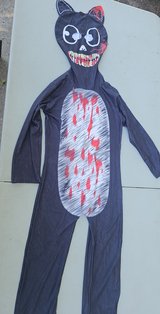 Halloween evil cat costume in Kingwood, Texas