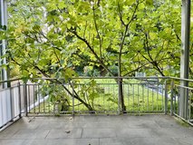 Attractive 4 BR apartment in Stuttgart, GE