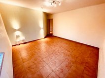 Live Among Christmas Trees in Spangdahlem, Germany