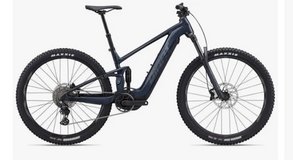 Giant STANCE E+ 1 - 29" E-Mountainbike in Baumholder, GE