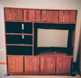 Entertainment Center in Naperville, Illinois