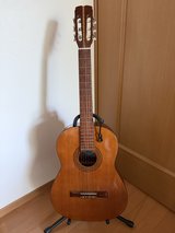Acoustic Guitar in Okinawa, Japan