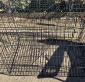 Cage for a dog in 29 Palms, California