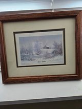 Snowflakes by Fred Thrasher in Glendale Heights, Illinois