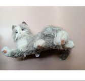 Joy for All Cat (robot cat) in Kingwood, Texas