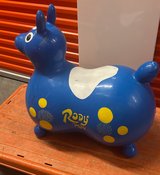 Rody the Bounce Horse in Kingwood, Texas